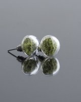 Stud earrings with olive moss